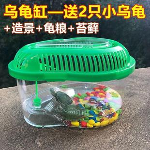 乌龟缸 送2只小乌龟巴西龟乌龟缸带晒台多规格龟盆宠物盒儿童礼物