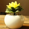 时尚桌面欧式白瓷创意圆球形多肉，陶瓷小花卉，迷你可爱个性花盆