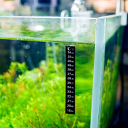 博宇水族箱鱼缸贴片温度计龟缸温度表贴纸爬虫箱温度贴纸感应控制