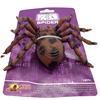 仿真蜘蛛动物模型儿童玩具大号实心蜘蛛吓人整蛊恐怖玩具