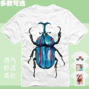 T恤衫短袖半袖时间飞船独角仙丹平纯子甲虫动漫周边卡通昆虫