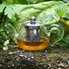 耐热创虹T190飘逸杯茶具不锈钢内胆过滤玻璃泡茶壶红茶泡