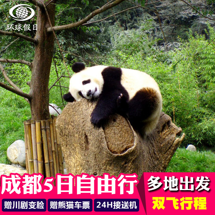 undefined1 Sichuan Province Chengdu Flying 5 days 4 Visit Downtown area high quality hotel Sichuan Opera Face changing panda Base ticketundefinedin the Holiday Line/Visas send off/Travel services , Visit/Tuanyou , Domestic exercise category - from Buy2taobao.com to provide professional Taobao agent buy service