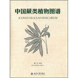 中国蕨类植物图谱 北京大学正版