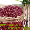 农家自产赤小豆东北红小豆黑龙江新粮全程有机肥杂粮红豆一份2斤