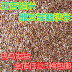 巴马特产胚芽红香米能500克红米