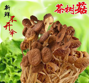湖南农产品香菇类干货不开伞特产香嫩野生农家食用茶树菇