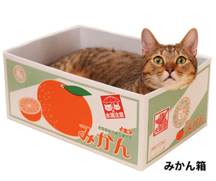 猫窝猫玩具猫抓板能磨爪的猫窝纸箱底层瓦楞猫抓板宠物纸盒房子