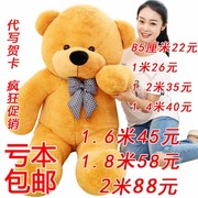 布娃娃毛绒玩具熊1.6米泰迪熊1.8米2大号生日礼物公仔抱抱熊大熊