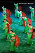 红是红绿是绿舞蹈表演出孔雀服装民族服装傣族舞蹈演出女