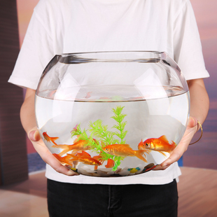 创意圆形玻璃鱼缸透明大号，桌面加厚乌龟缸金鱼缸水培客厅风水招财