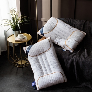 抗菌防螨 磁石护颈枕头决明子磁疗枕单人羽丝绒全棉纯棉保健枕芯