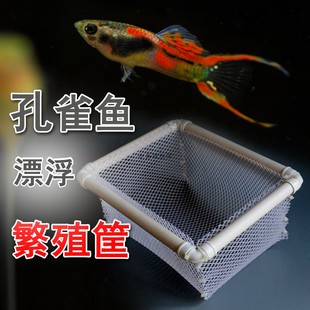 孔雀鱼繁殖筐自漂浮鱼厂用定制订做小鱼苗隔离网孵化盒大号鱼缸