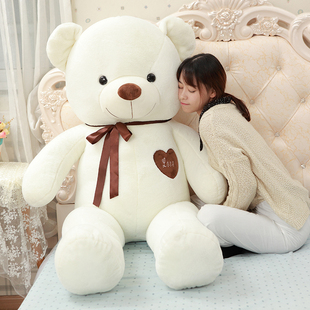 熊毛绒玩具小号布娃娃女生大熊抱抱熊生日礼物送女友1.6米泰迪熊