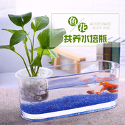 加厚桌面透明玻璃花瓶水培，长方形水养植物容器创意鱼缸造景花瓶
