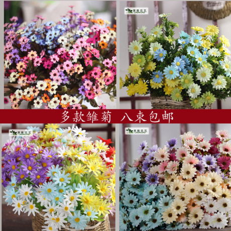 假菊花