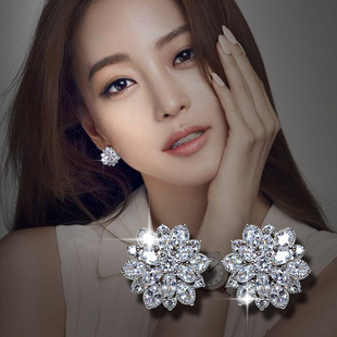 韩国耳钉纯银女气质简约锆石花朵，夸张大耳环，日韩防过敏s925银耳饰