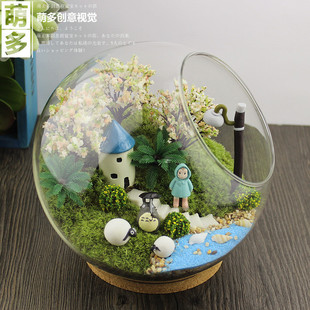 纯苔藓微景观生态瓶创意，diy组合盆栽新奇仿真植物礼物办公室