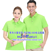 果绿色T恤衫 短袖 POLO 苹果绿 环保色 浅绿色 工衣订做 看样订做