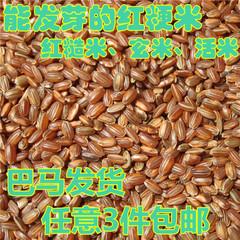 胚芽红梗米巴马特产玄米留胚圆红米