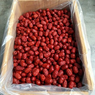 新枣特级沧州红枣2500g新货农家自产5斤整箱零食干金丝小枣子