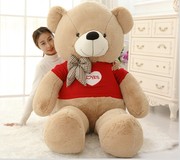 毛绒玩具熊泰迪熊公仔，抱抱熊1.8米1.6米七夕礼物大娃娃生日熊