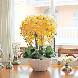 和家手感仿真蝴蝶兰套装绿植，盆栽花艺室内客厅干花摆设装饰假花卉