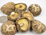 黄山土特产非常好的花菇干香菇干货野生冬菇肥厚润滑250g