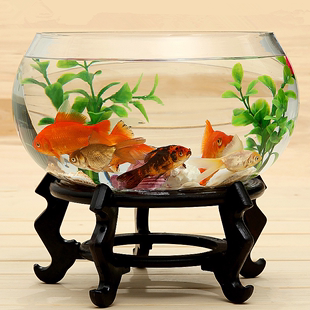 玻璃鱼缸圆形透明大号办公室创意客厅，裸缸桌面加厚玻璃，鼓缸金鱼缸(金鱼缸)