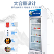单门好鸭冰箱商用冷柜立式冷藏冷冻柜厨房，速冻展示柜保鲜冰柜