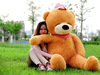 毛绒玩具1米8大抱熊泰迪熊，布娃娃抱抱熊1.8米大号2米1.6米公仔1.2