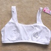 一件怡兰芬文胸学生发育初期全棉小背心薄款运动内衣白粉蓝色