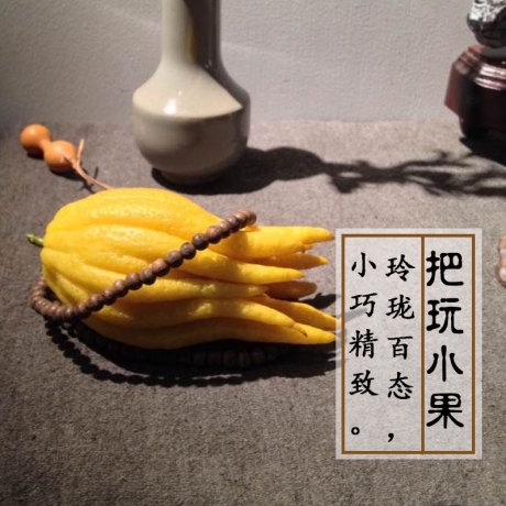 金华佛手
