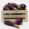 仿真食品模型家居装饰假蔬菜水果模型橱柜摆件摄影道具仿真长茄子