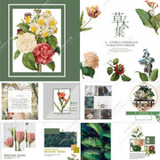 森系复古vintage花卉，植物画册排版psd源文件，设计素材