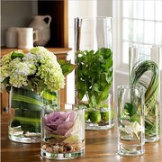 玻璃花瓶圆柱形富贵竹水培透明花插样板间软装餐桌直筒桌面花瓶