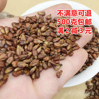 新疆天然食用500g葡萄籽粉