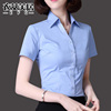 v领蓝色衬衫女短袖，修身显瘦棉衬衣简约正装，大码职业ol气质工作服