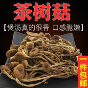 农家茶树菇干货江西干茶树菇散装不开伞柳松菇特级茶薪菇干杨树菇
