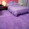 加厚款可水洗丝毛地毯简约现代客厅茶几卧室床边毯满铺飘窗垫定制