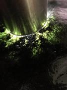 翡翠原石帕敢老坑莫弯基黑乌沙灯透阳绿种水色料糯冰种