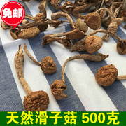 大兴安岭天然东北滑子菇小黄蘑菇煲汤 珍珠菇小香菇干货500克