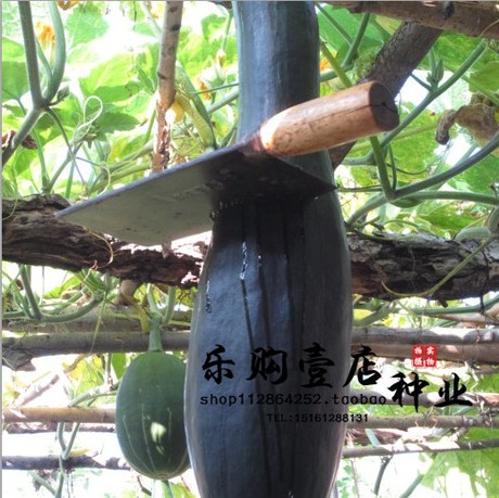 黑花