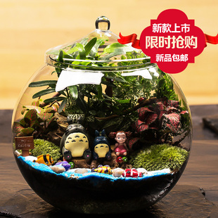 苔藓微景观摆件，宫崎骏龙猫盆景生态瓶，diy材料新年生日礼物微景观