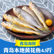 青岛海鲜水产特产黄花鱼新鲜冷冻小黄花野生生鲜小黄鱼整箱鲜黄鱼