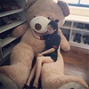 巨熊大熊超大号泰迪熊猫，毛绒玩具送女友1.8米抱抱熊布娃娃公仔女