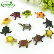 仿真海洋动物模型玩具小号 乌龟海龟玩偶小巧可爱 幼儿园玩具装饰