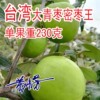 台湾大青枣果树苗蜜枣王嫁接苗南方种植庭院四季盆栽地栽当年结果