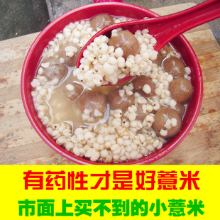 金沙小薏米仁新货特级药用薏仁米，福建农家新鲜小薏米仁炒熟中药材