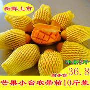 海南芒果新鲜小台芒5\9斤小台农，香甜无丝当季孕妇水果整箱